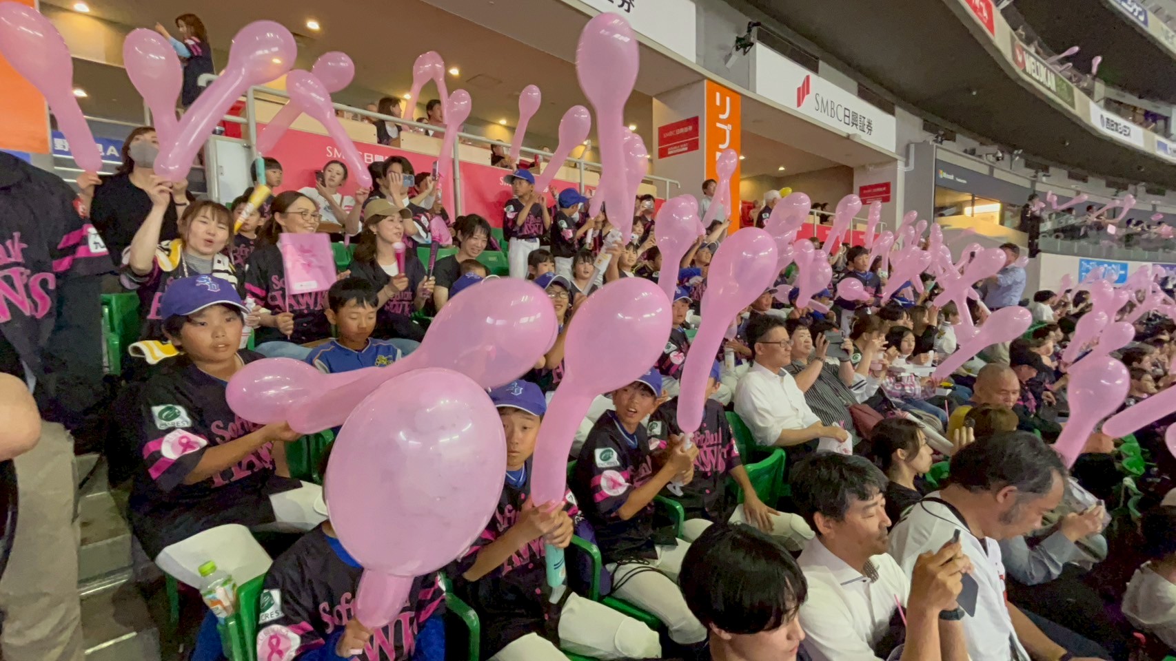 A7F12F68-0E19-4D6B-BF98-E30FA11A5F54